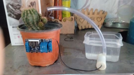 Sistema de riego con planta